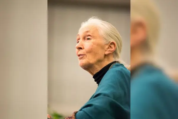 Jane Goodall, ethologist and environmentalist, passes away at 91
