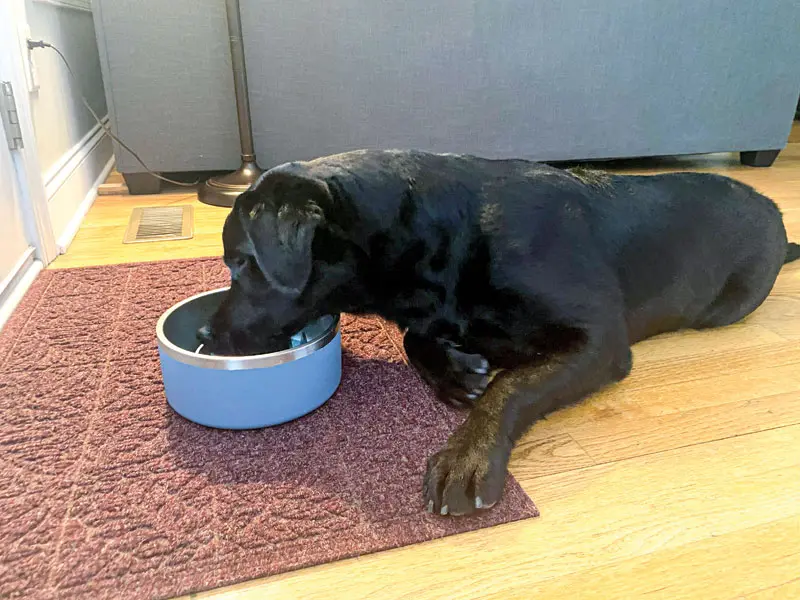 The science of appetite