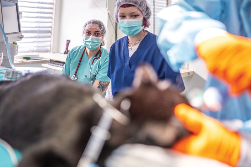 Surgical room design: A tech's perspective on patient safety