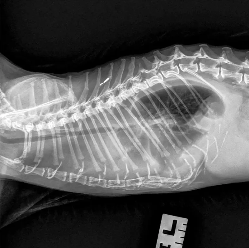 Brain Teaser: Can you solve this puzzle?