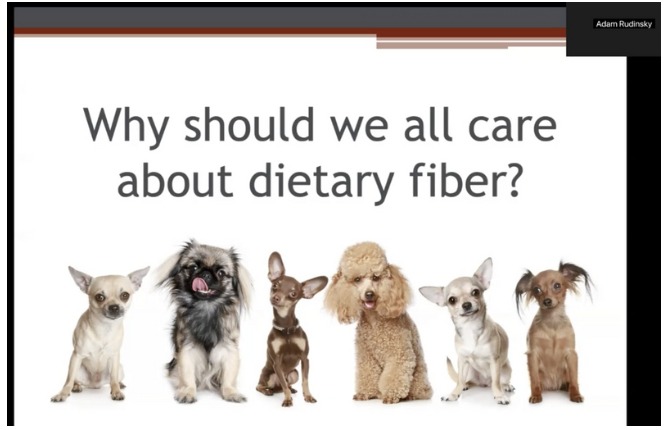 Fiber in Veterinary Nutrition