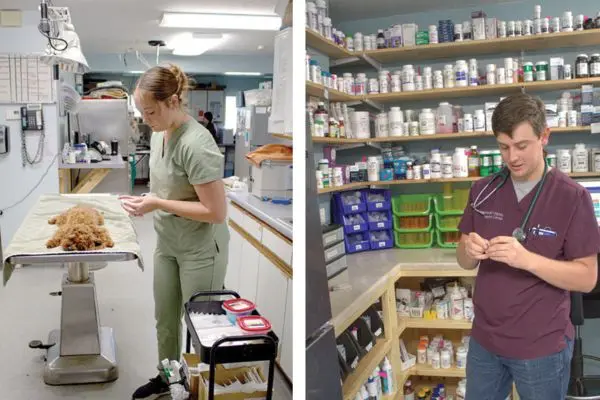 The mirror of accountability in the clinic