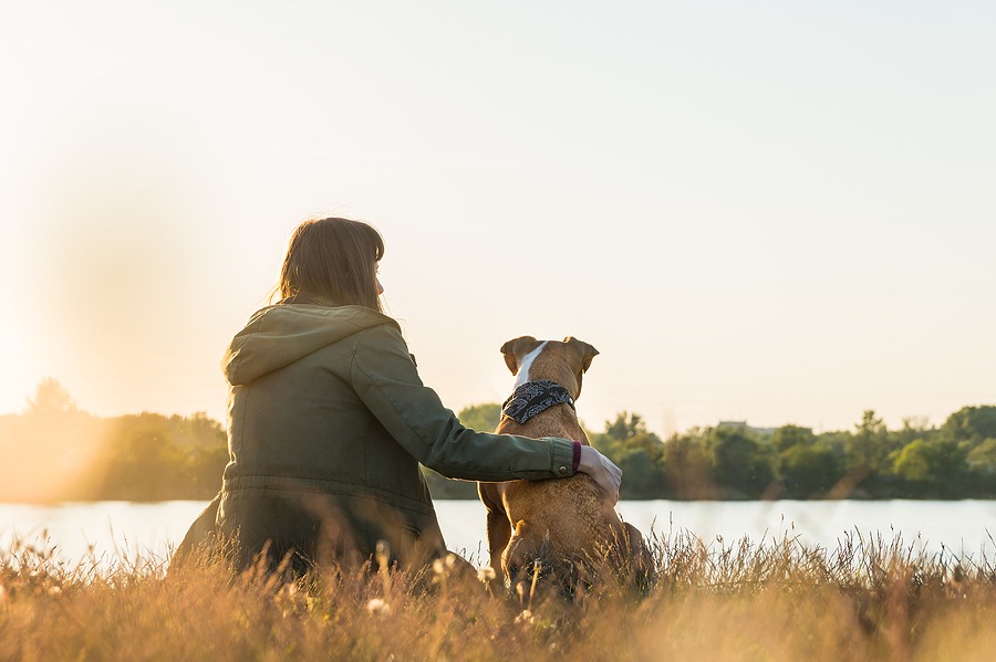 Role of pets in mental health supports highlighted in new online resource