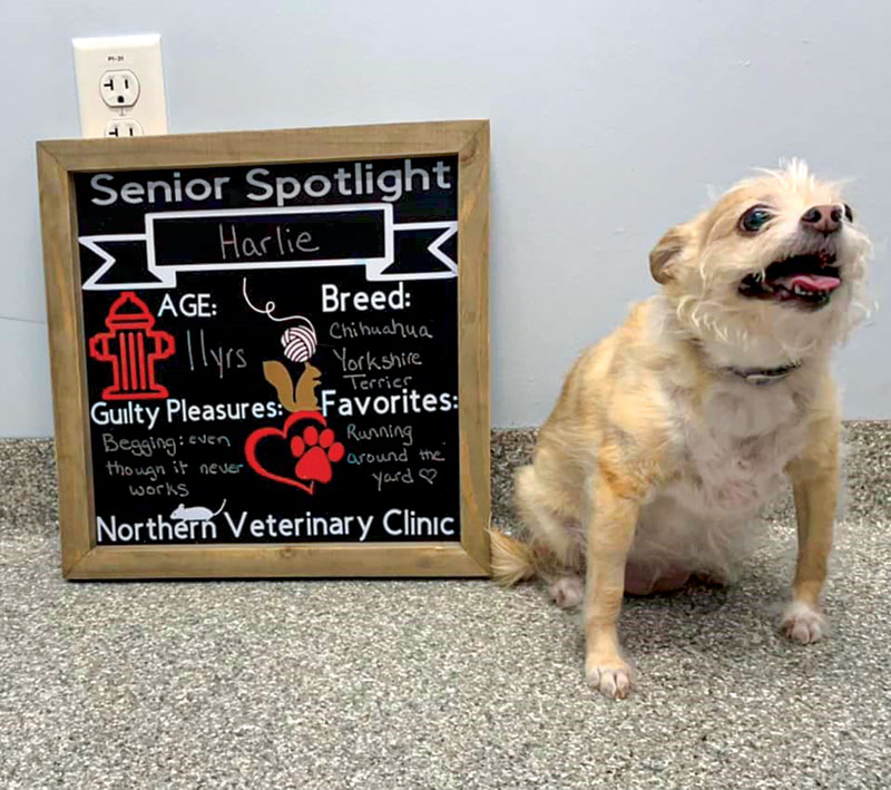 9 ways to create moments of caring