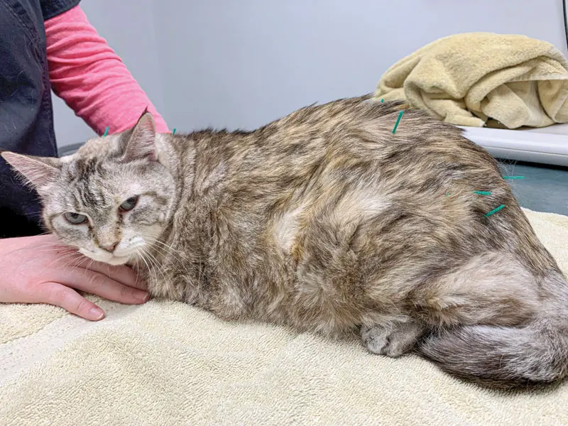 To fix pain, don't forget the fascia