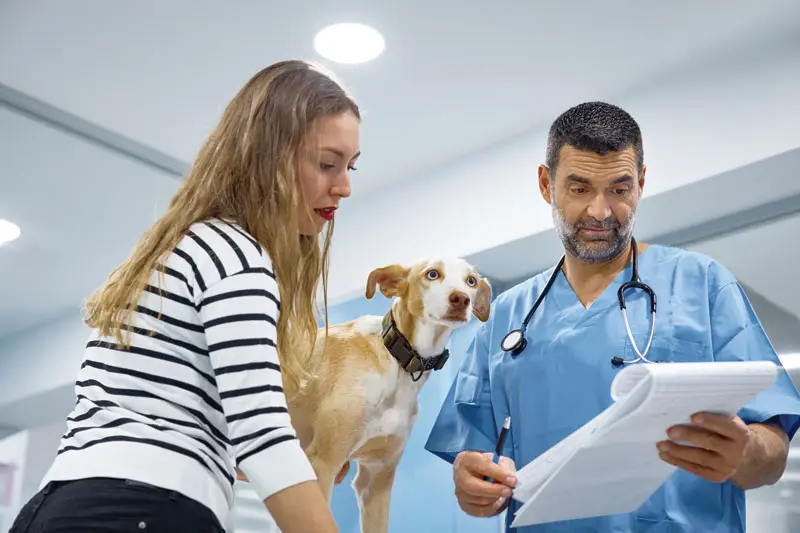 Managing OA in dogs and cats