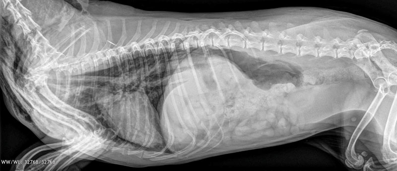 Brain Teaser: Can you solve this puzzle?