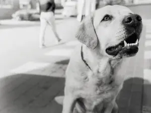 Where unique needs meet innovative science