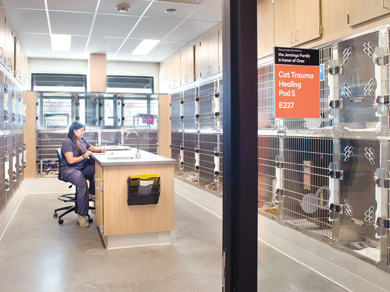 Housing that heals: The quiet evolution  of veterinary containment