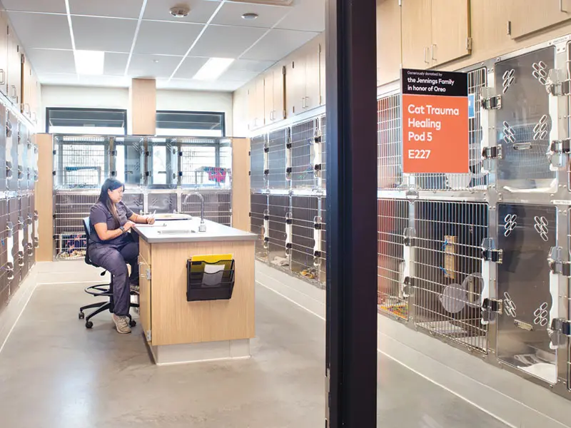 Housing that heals: The quiet evolution  of veterinary containment