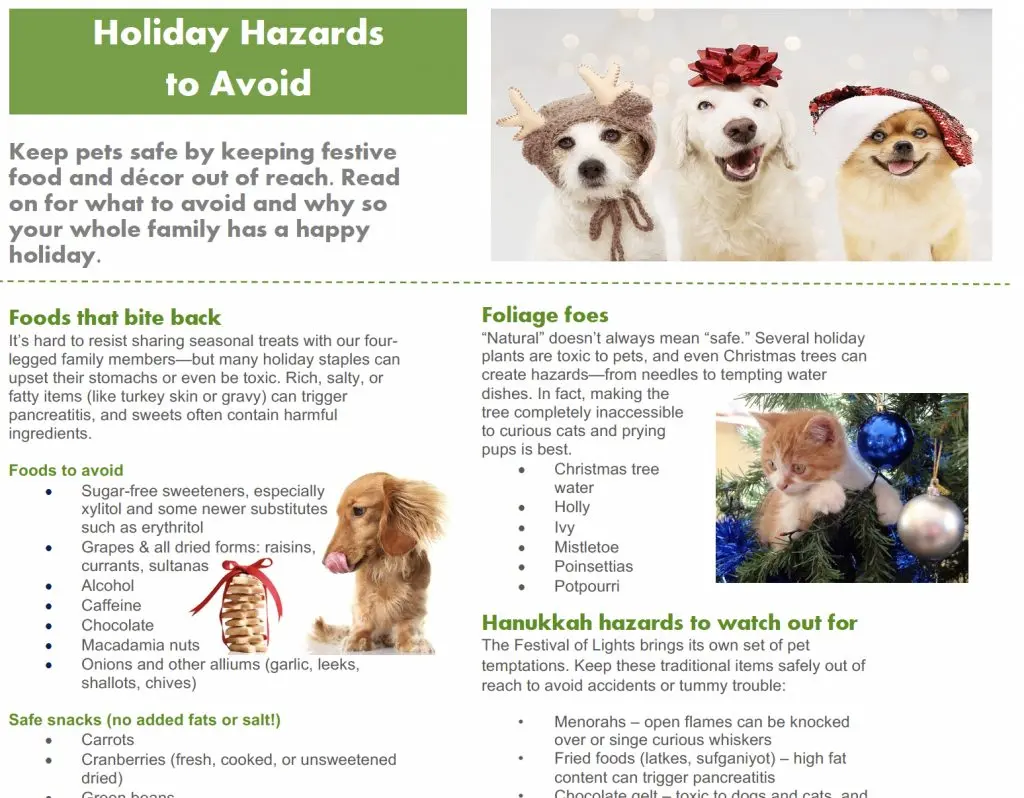 Christmas and Hanukkah hazards infographic download