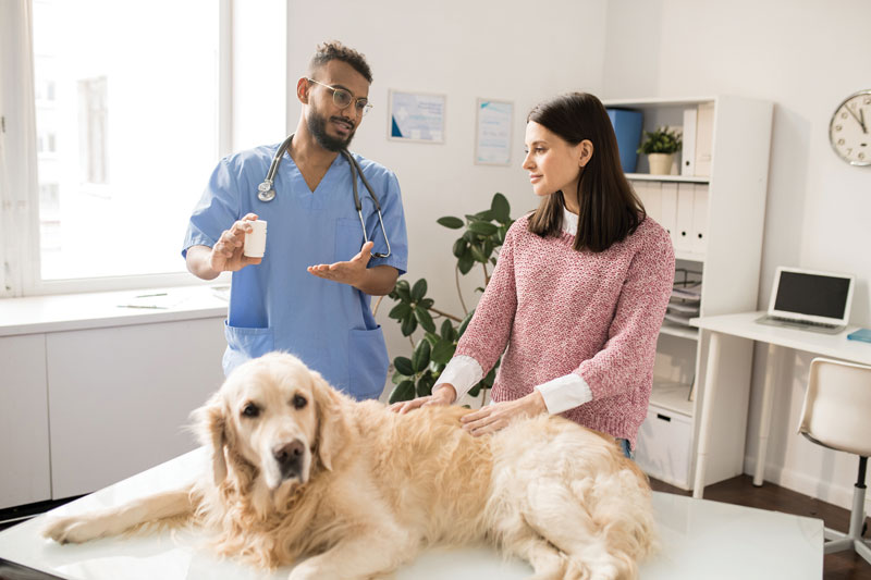 What's ahead for veterinary pharma