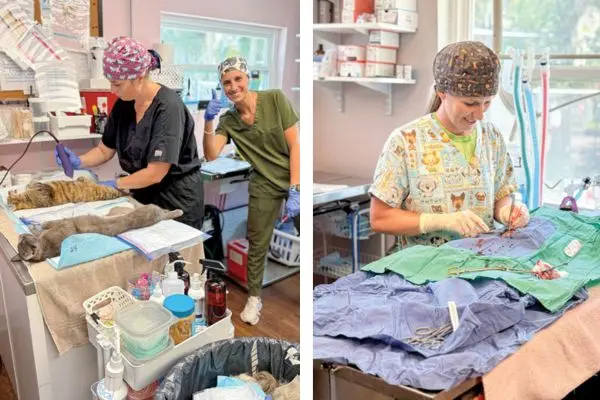 A look at innovative financing options for veterinary practices