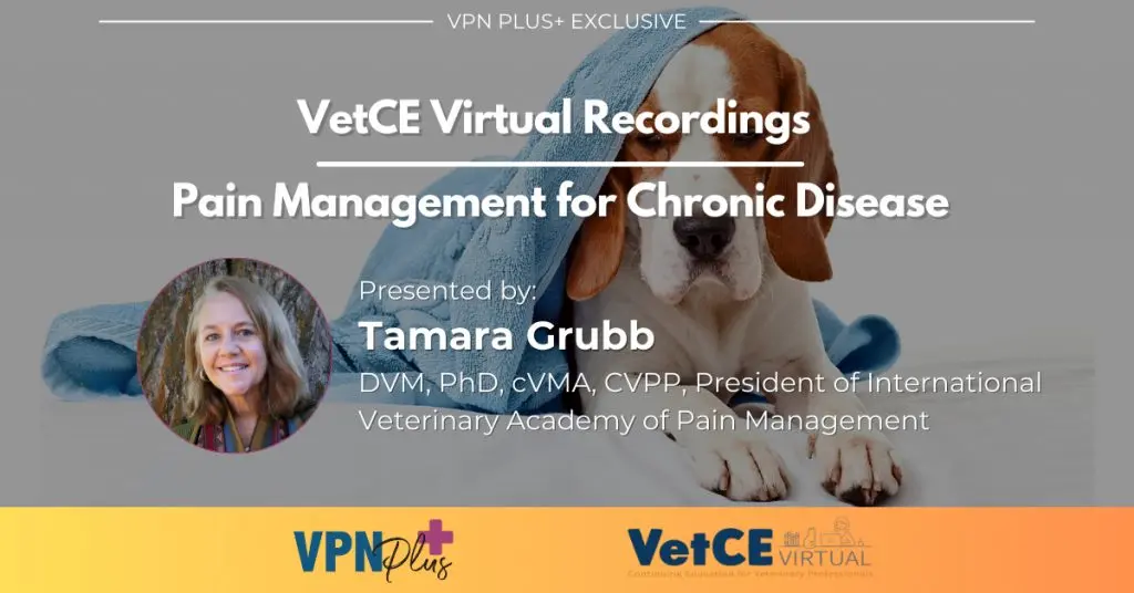 Pain Management for Chronic Disease