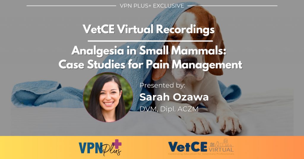 Analgesia in Small Mammals: Case Studies for Pain Management