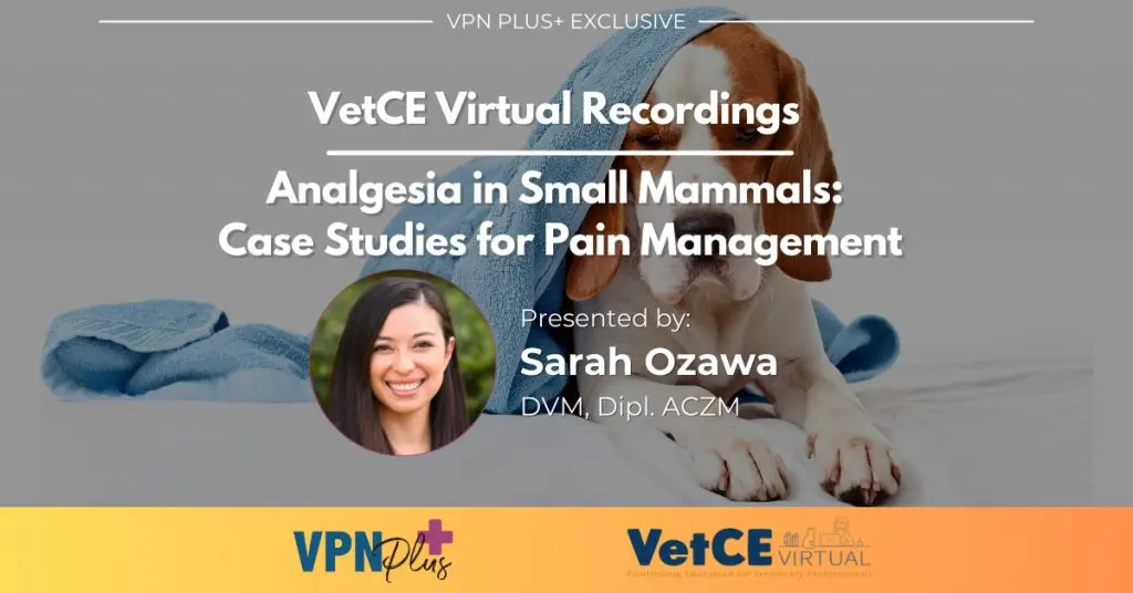 Analgesia in Small Mammals: Case Studies for Pain Management