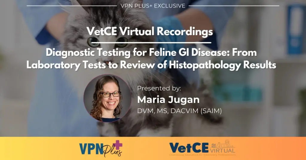 Diagnostic Testing for Feline GI Disease: From Laboratory Tests to Review of Histopathology Result