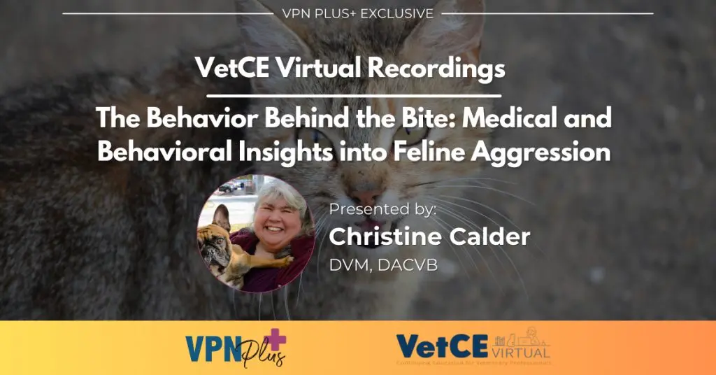 The Behavior Behind the Bite: Medical and Behavioral Insights into Feline Aggression