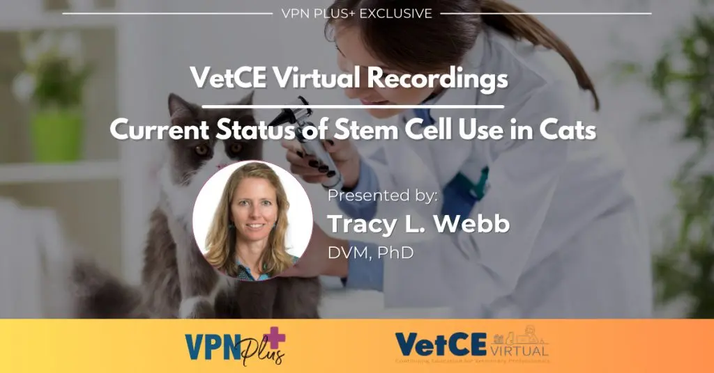 Current Status of Stem Cell Use in Cats
