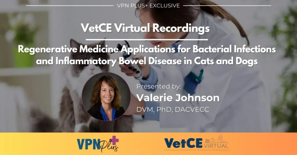 Regenerative Medicine Applications for Bacterial Infections and Inflammatory Bowel Disease in Cats and Dogs