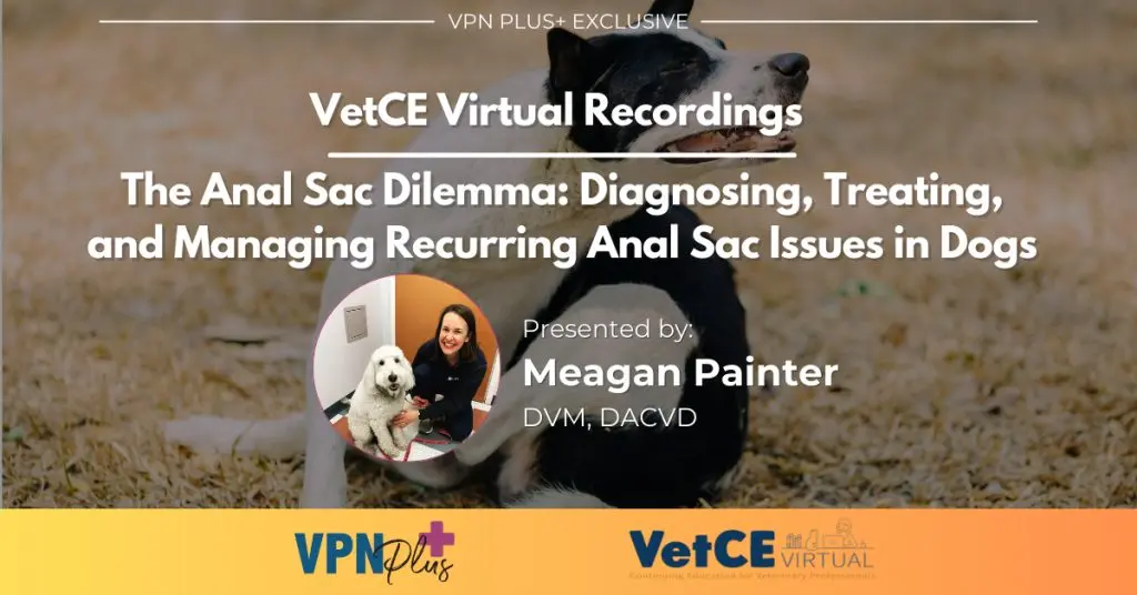 The Anal Sac Dilemma: Diagnosing, Treating, and Managing Recurring Anal Sac Issues in Dogs