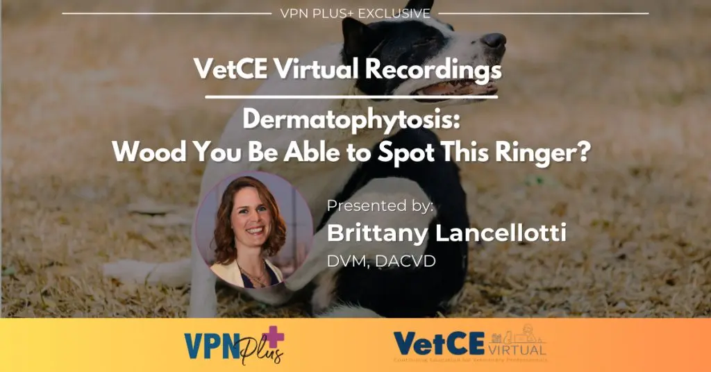 Dermatophytosis: Wood You Be Able to Spot This Ringer?