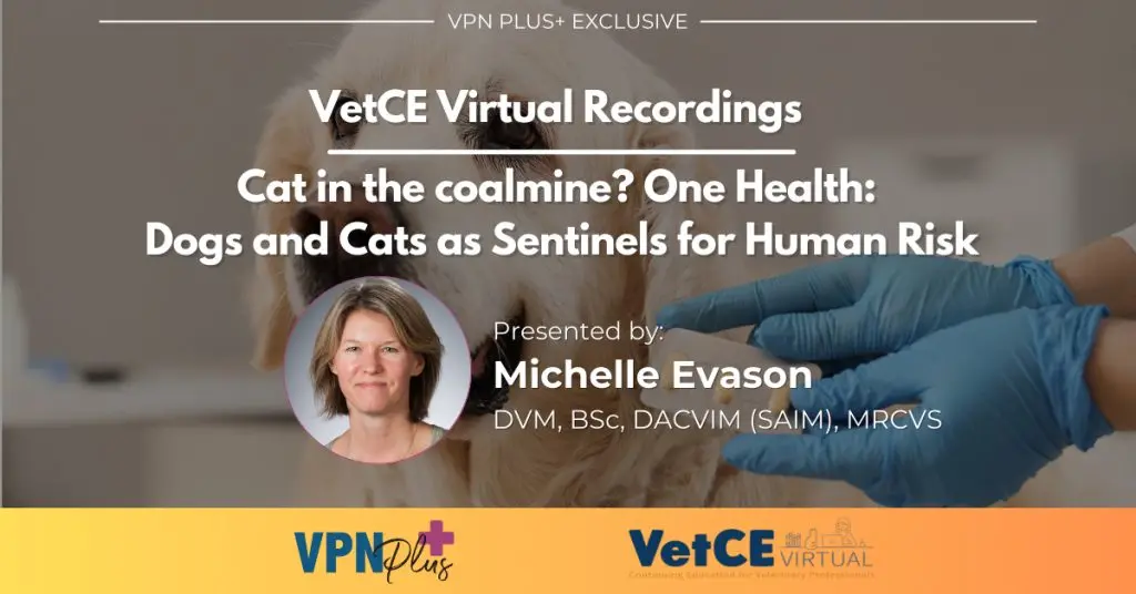 Cat in the coalmine? One Health: Dogs and Cats as Sentinels for Human Risk