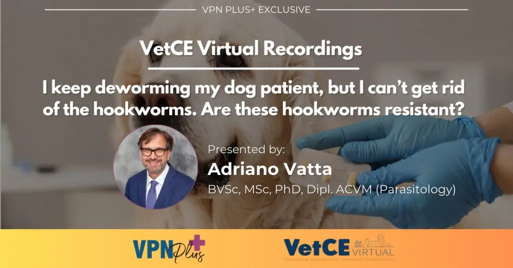 I keep deworming my dog patient, but I can't get rid of the hookworms. Are these hookworms resistant?