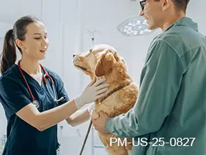 Fast Itch Relief for Canine Patients