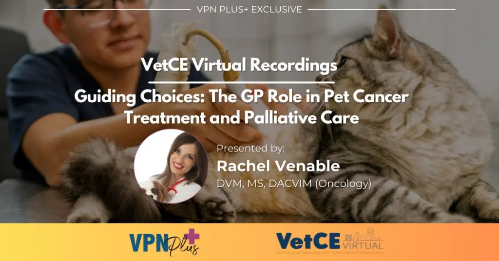 Guiding Choices: The GP Role in Pet Cancer Treatment and Palliative Care