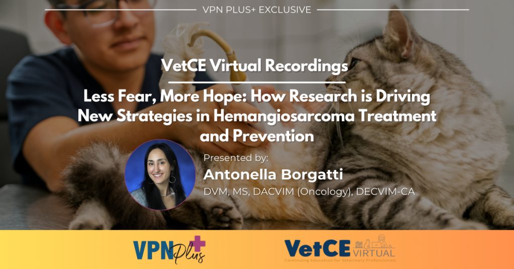 Less Fear, More Hope: How Research is Driving New Strategies in Hemangiosarcoma Treatment and Prevention