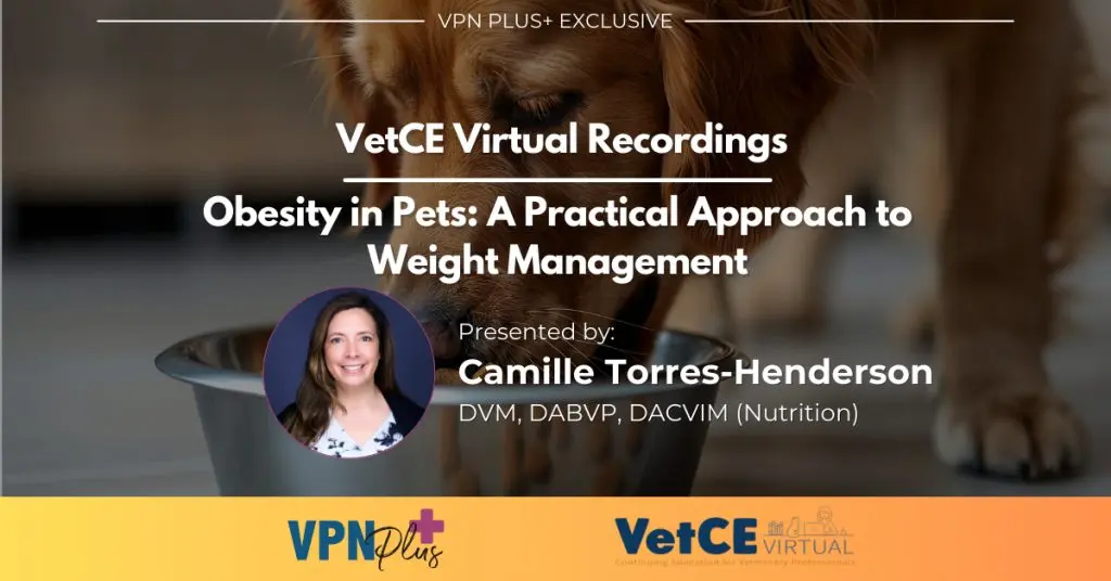 Obesity in Pets: A Practical Approach to Weight Management