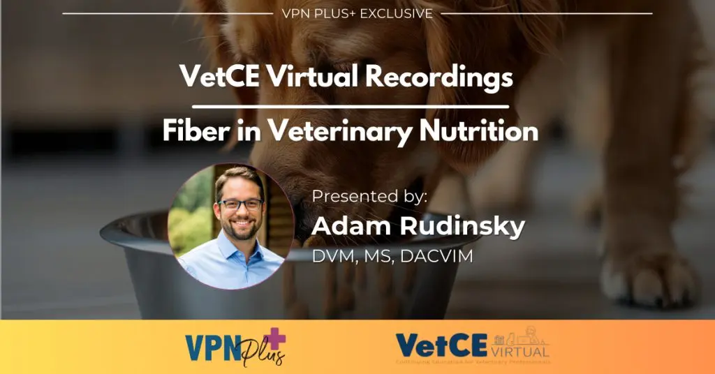 Fiber in Veterinary Nutrition