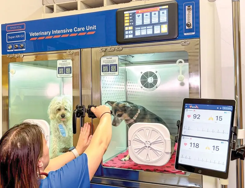 Are modern recovery systems the next standard in veterinary medicine?