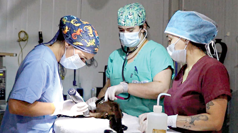 Wildlife center offers hands-on experience in exotic animal treatment and care