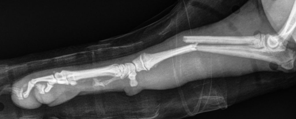 Brain Teaser: Can you solve this puzzle?