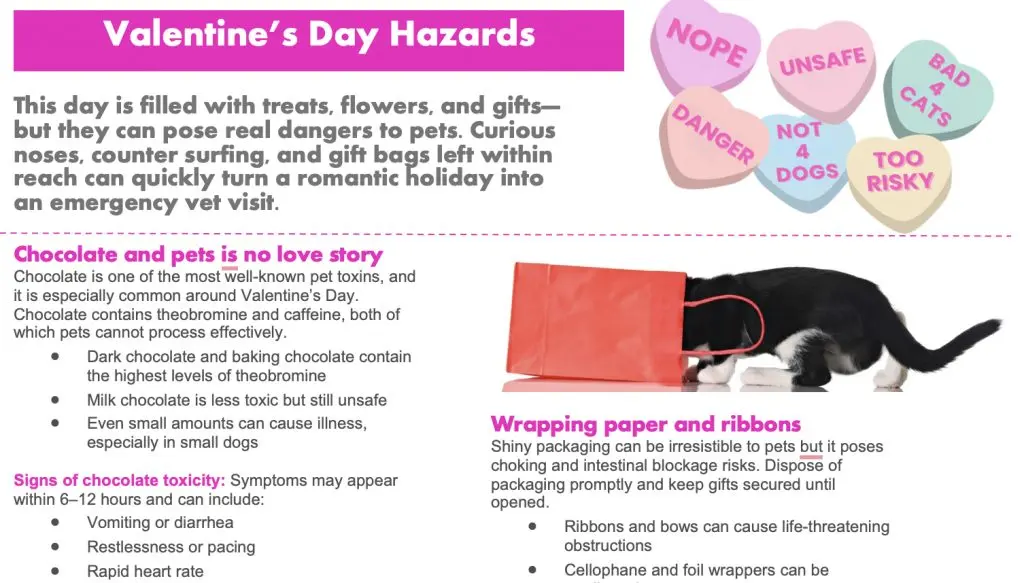 Valentine's Day hazards infographic download