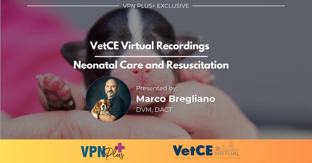 Neonatal Care and Resuscitation