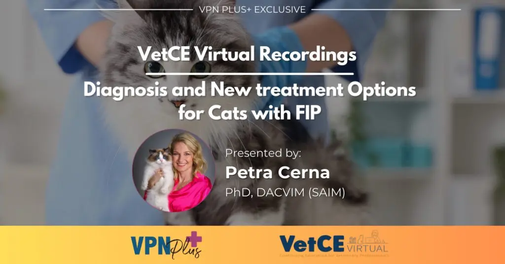 Diagnosis and New treatment Options for Cats with FIP