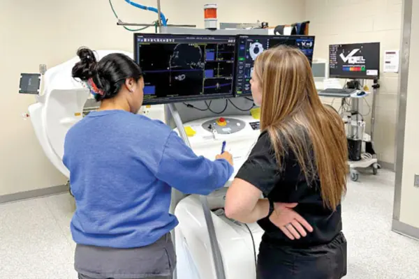 The dental is in the details: CT scan in veterinary dentistry