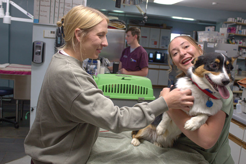 Leading in your day and career