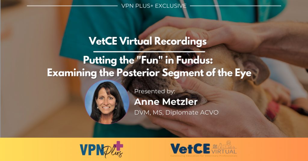 Putting the 'Fun' in Fundus: Examining the Posterior Segment of the Eye