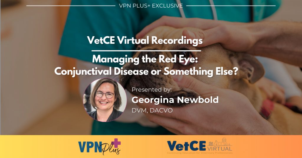 Managing the Red Eye: Conjunctival Disease or Something Else?