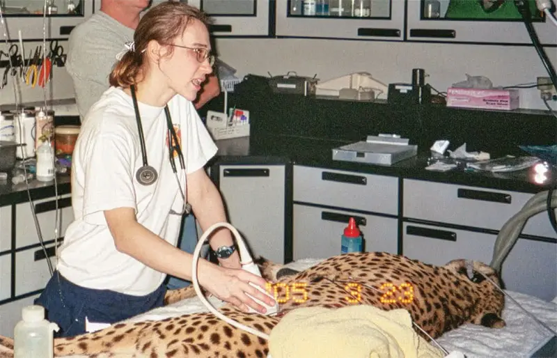 Part 2: Using ultrasound in the ER setting