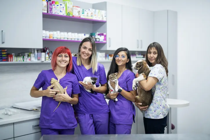 Tech Talk: A case against Arizona's 'hours vs education' bill