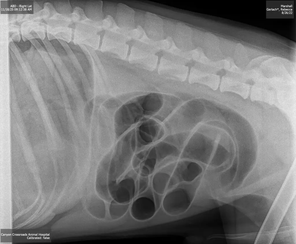 Brain Teaser: Can you solve this puzzle?