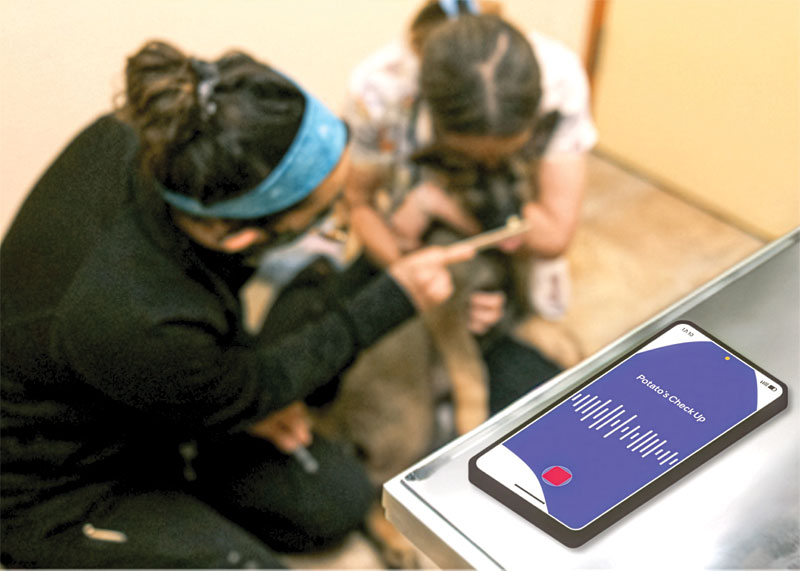 Beyond note-taking: How AI helps protect your practice from legal risks