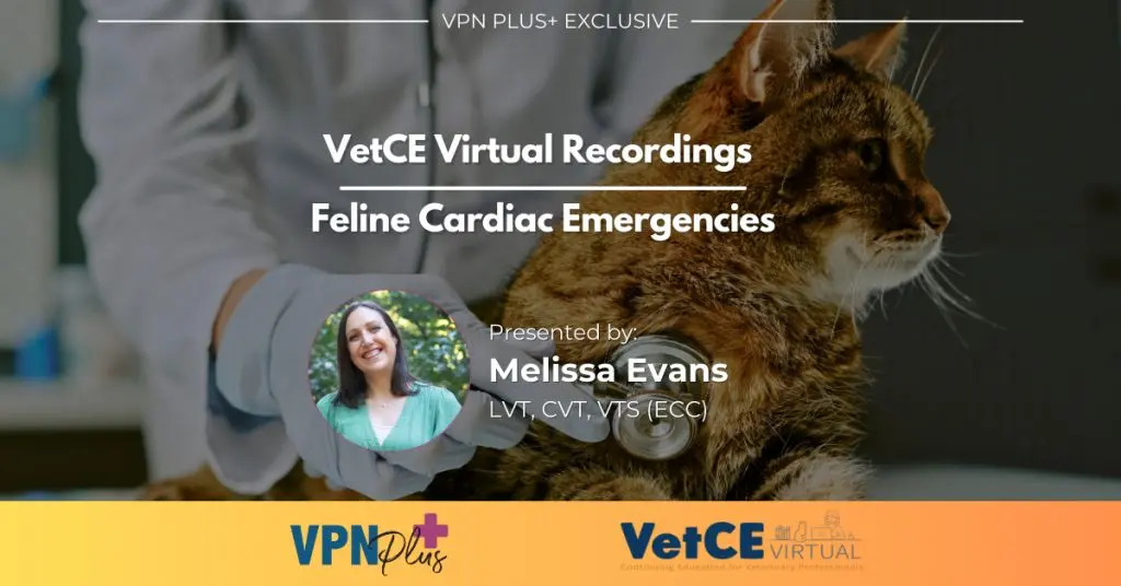 Feline Cardiac Emergencies