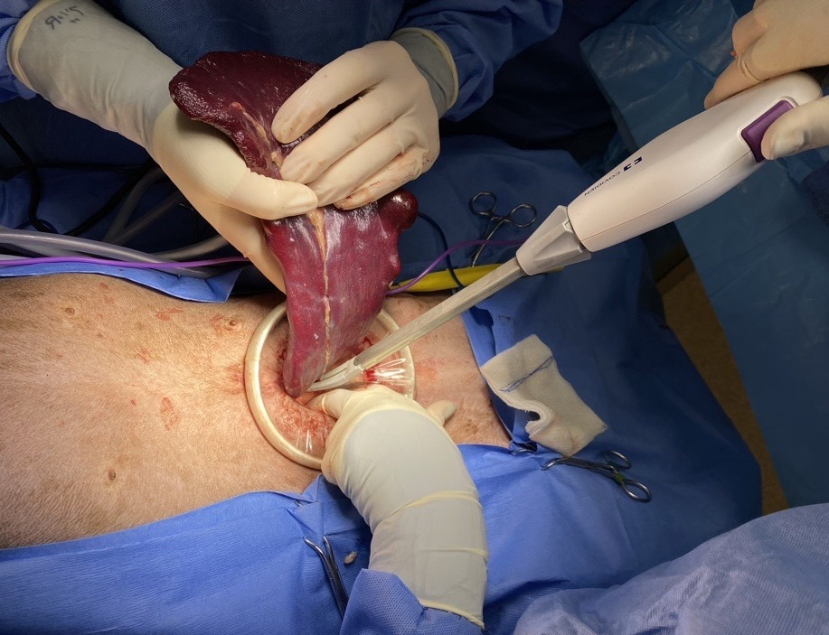 A primer on advanced laparoscopy in small animals