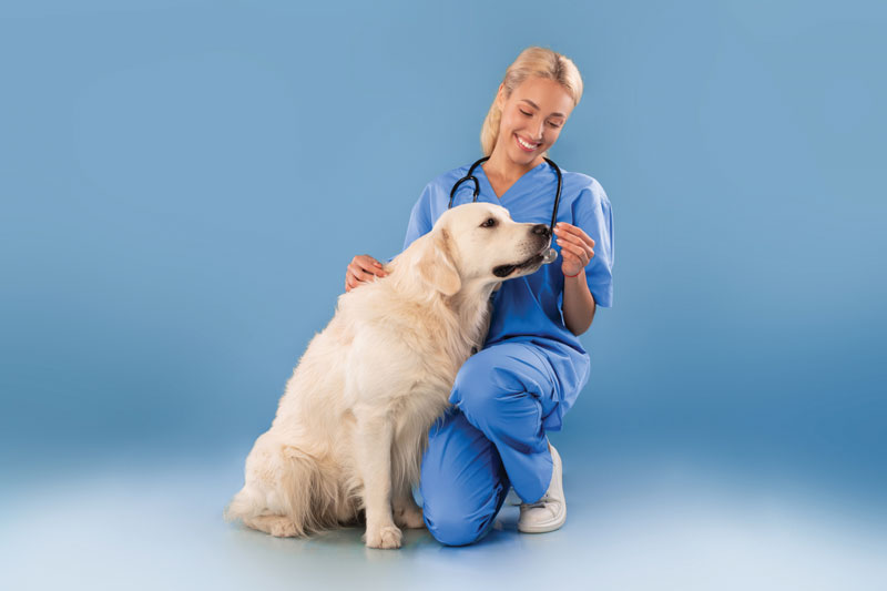 Guiding clients on supplements: A look at marketing and medicine